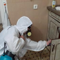 Дезинфекция от муравьев в квартире в Южнопортовом районе Москвы