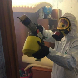 Уничтожение клопов в квартире. Южнопортовый район 